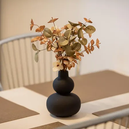 Coresi Vibe 207 Apartment