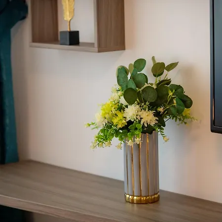 Coresi Vibe 207 Lägenhet *