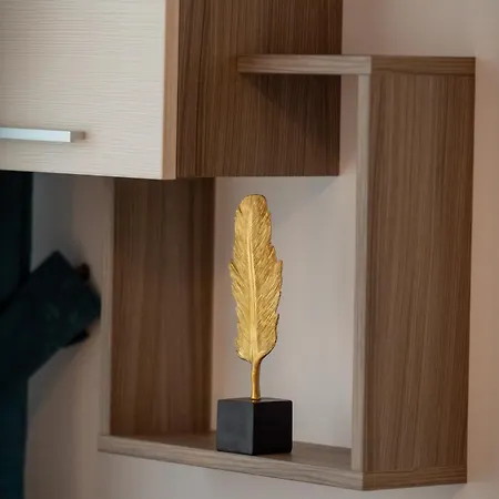 Coresi Vibe 207 * Braşov