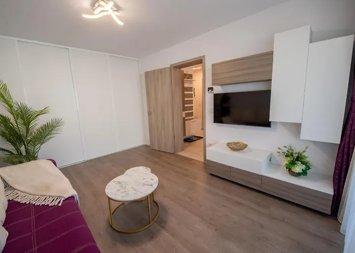 Apartment Coresi Vibe 207