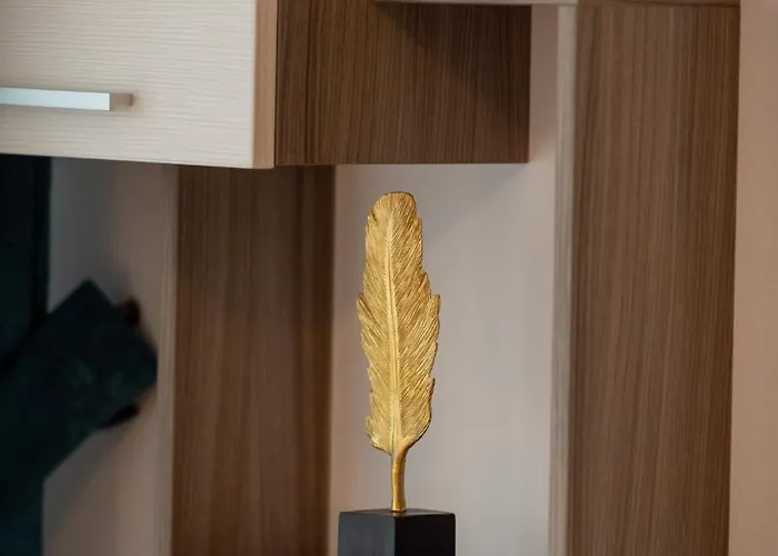 Coresi Vibe 207 * Brasov