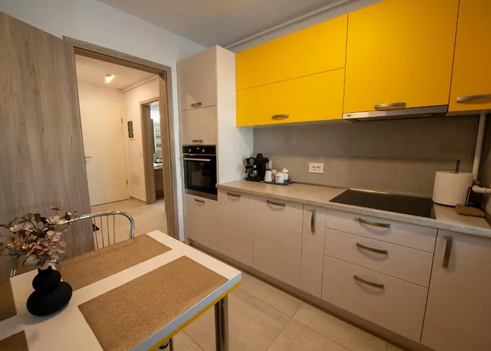 Apartment Coresi Vibe 207